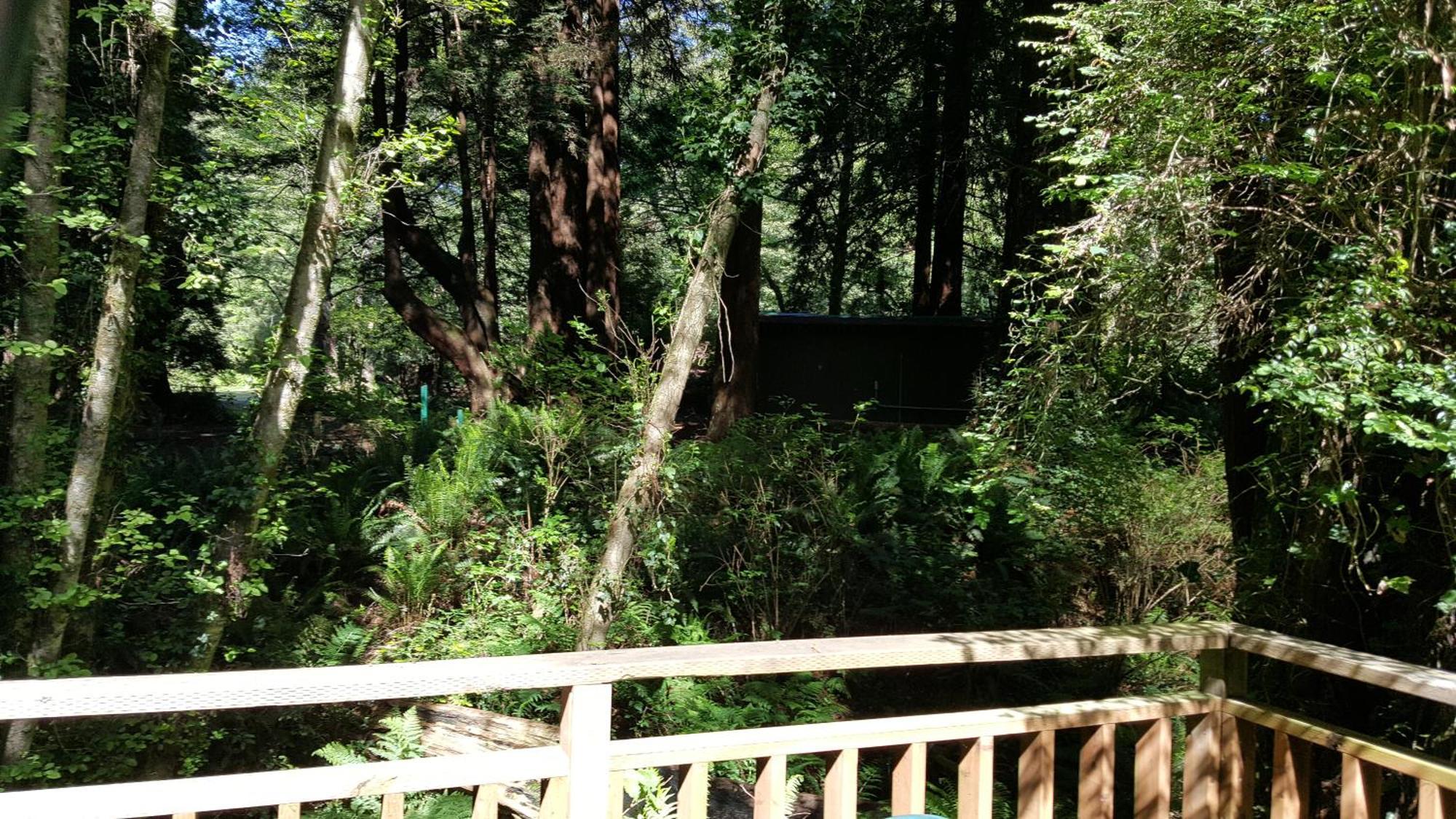 Emerald Forest Cabins Trinidad Habitación foto