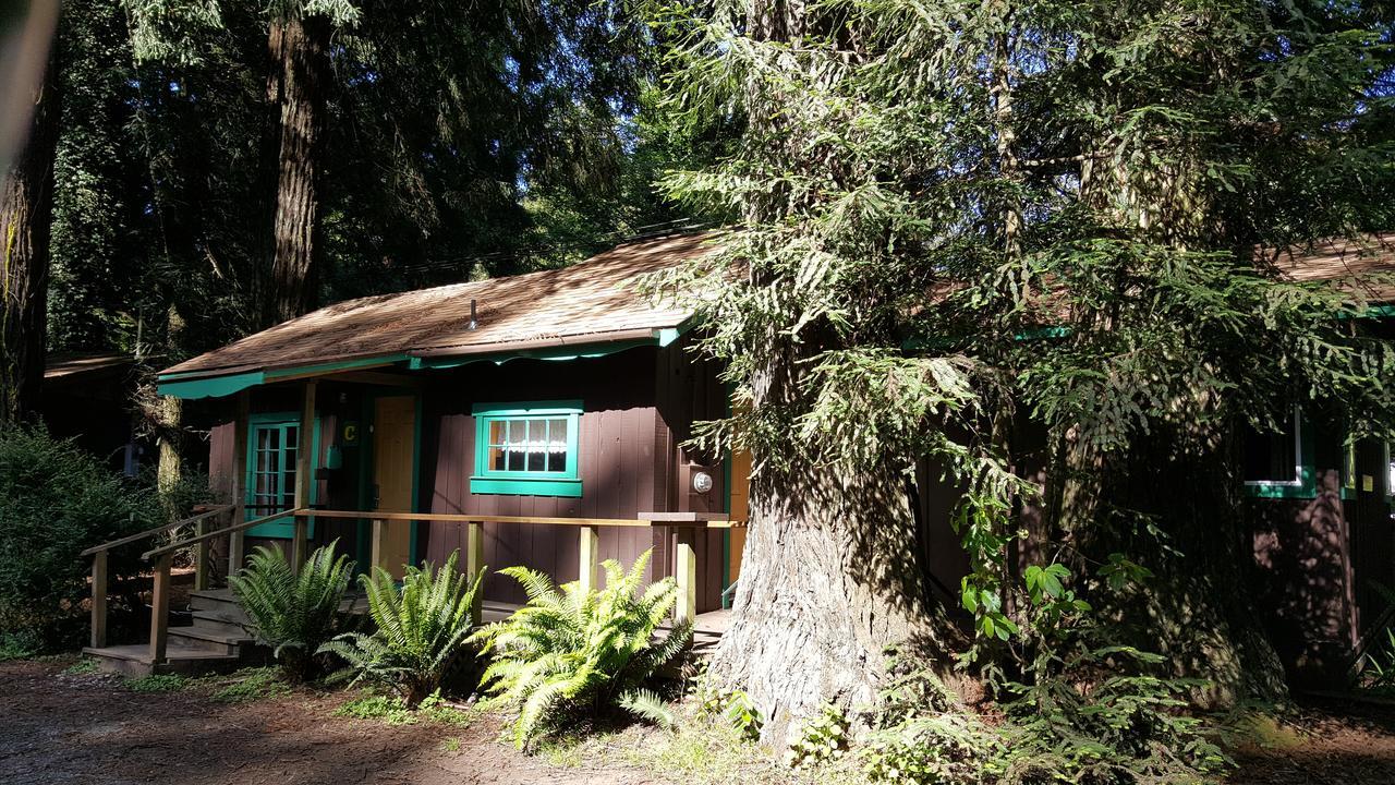Emerald Forest Cabins Trinidad Exterior foto